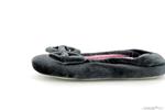 99338  gris - Photo