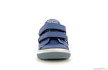 rafino  bleu - Photo