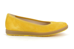 62450  22 mango - Photo