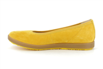 62450  22 mango - Photo