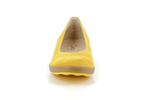 62450  22 mango - Photo