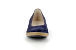 62450  36 bleu - Photo