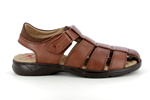 f0533  cognac - Photo