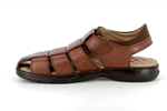 f0533  cognac - Photo