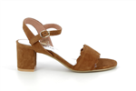 3722  cognac - Photo