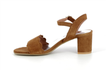 3722  cognac - Photo