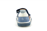 valdom  bleu - Photo