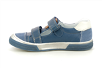 valdom  bleu - Photo