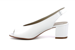 8210  blanc - Photo