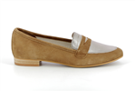 lapa  camel - Photo
