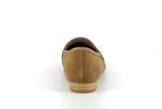 lapa  camel - Photo