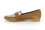 lapa  camel - Photo
