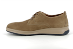 lester  taupe - Photo