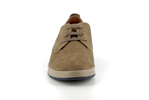lester  taupe - Photo