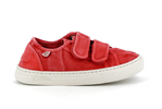 6471e  rouge 652 - Photo