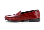 mozard verni rouge - Photo