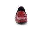 mozard verni rouge - Photo