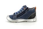 radice  bleu - Photo