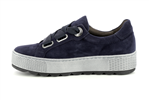 56535  36 bluette - Photo