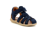 tafari  002 bleu 4381 - Photo