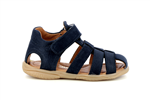 tafari  002 bleu 4381 - Photo