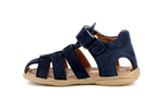 tafari  002 bleu 4381 - Photo