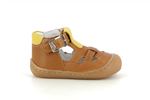 stan 040  camel - Photo