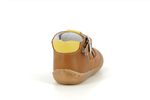 stan 040  camel - Photo