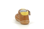 stan 040  camel - Photo