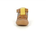 stan 040  camel - Photo