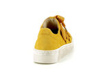 63333  13 mango - Photo
