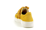 63333  13 mango - Photo