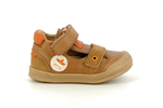 jil 267  camel - Photo