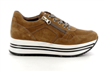 16934  339 malto - Photo