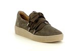 73333  19 truffe - Photo