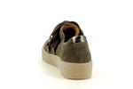 73333  19 truffe - Photo