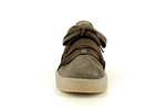 73333  19 truffe - Photo