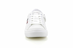 31167  white - Photo
