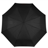 9145  noir - Photo