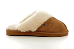 97282  camel - Photo