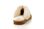 97282  camel - Photo