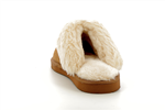 97282  camel - Photo