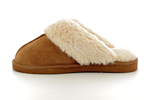 97282  camel - Photo