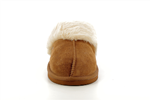 97282  camel - Photo