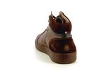 heliot  hazelnut p5137594 - Photo