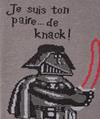 34385  gris ardoise 3250 knack vador - Photo