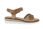 kika  camel - Photo