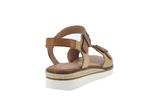 kika  camel - Photo