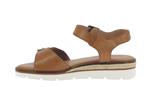 kika  camel - Photo