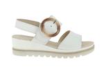 44645  21 blanc - Photo